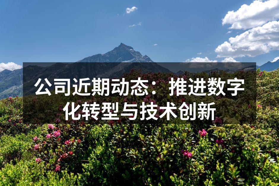 公司近期动态:推进数字化转型与技术创新