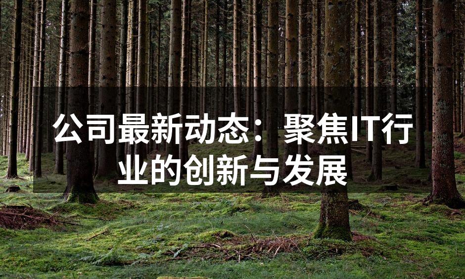 公司最新动态：聚焦IT行业的创新与发展