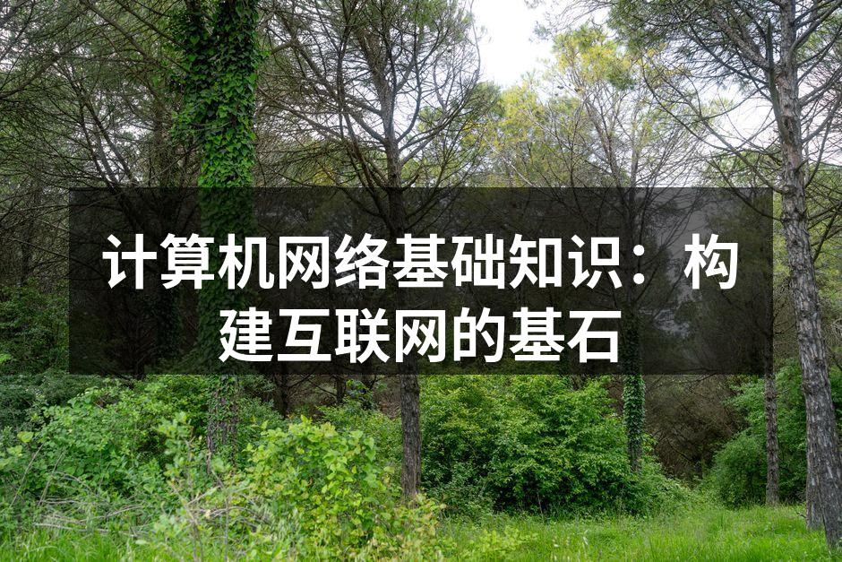 计算机网络基础知识：构建互联网的基石