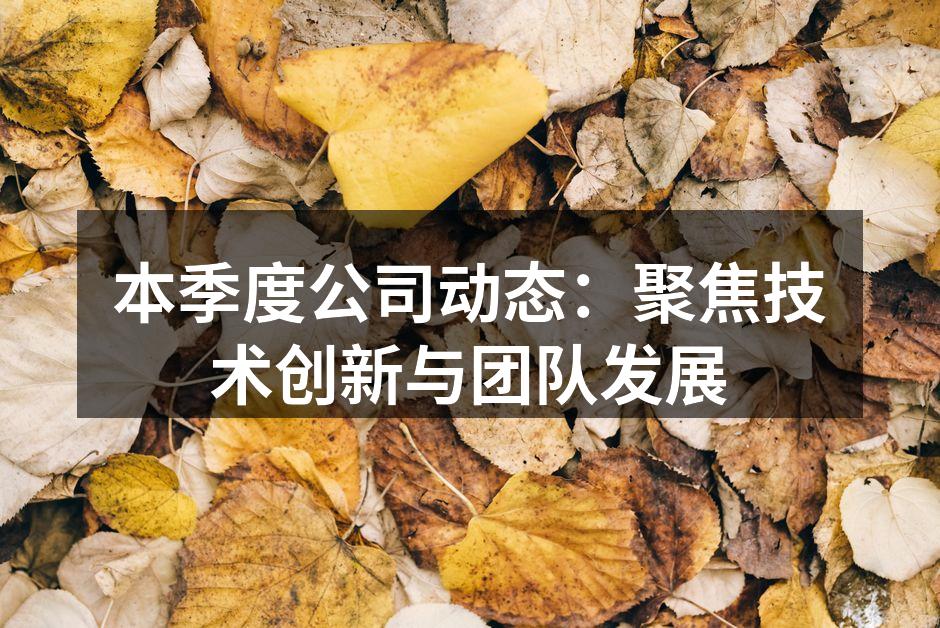 本季度公司动态:聚焦技术创新与团队发展