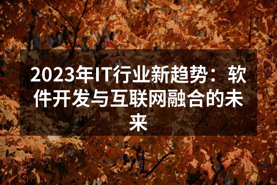 2023年IT行业新趋势:软件开发与互联