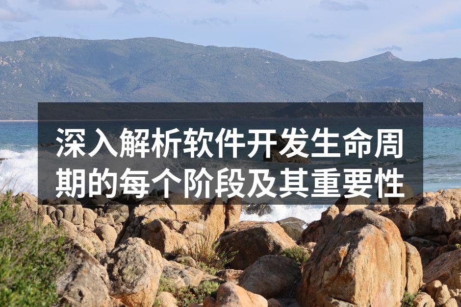 深入解析软件开发生命周期的每个阶段及其重