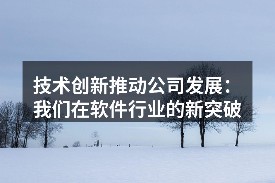 技术创新推动公司发展:我们在软件行业的新
